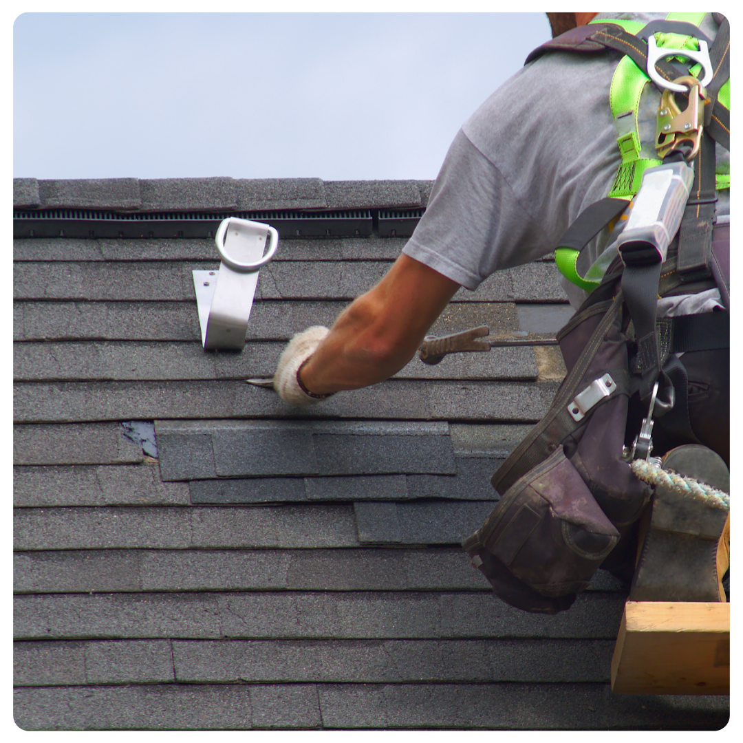 roof 3